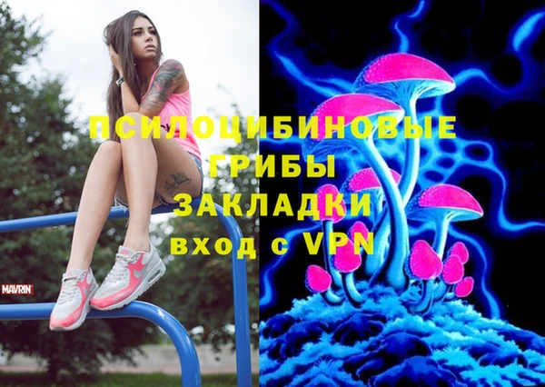 дживик Каменск-Шахтинский