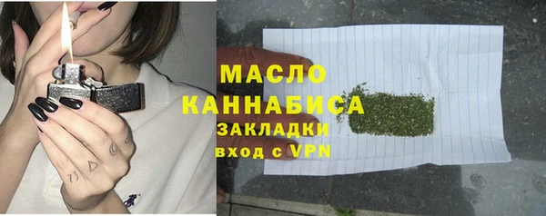 гидра Каменногорск