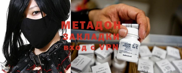 ГАЛЛЮЦИНОГЕННЫЕ ГРИБЫ Каменка
