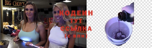 гидра Каменногорск