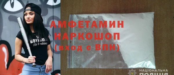 гидра Каменногорск
