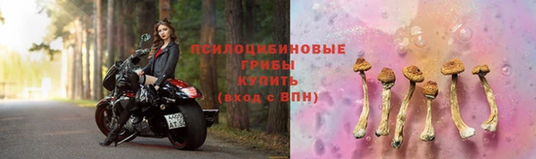 дживик Каменск-Шахтинский