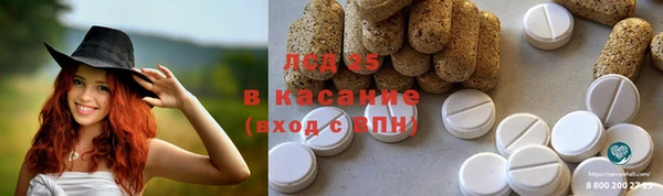 ГАЛЛЮЦИНОГЕННЫЕ ГРИБЫ Каменка