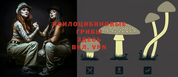 ГАЛЛЮЦИНОГЕННЫЕ ГРИБЫ Каменка