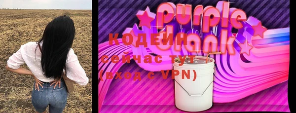 ГАЛЛЮЦИНОГЕННЫЕ ГРИБЫ Каменка