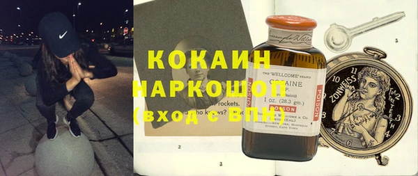 гидра Каменногорск