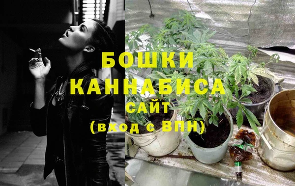 прущие крисы Карпинск